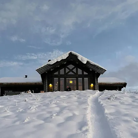 Log With Views, And Ski-in-out Øyer