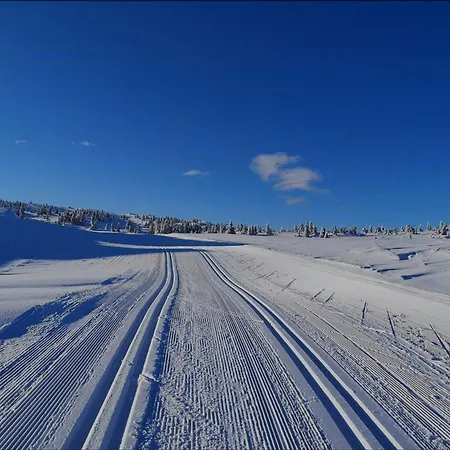 Log With Views, And Ski-in-out * Øyer